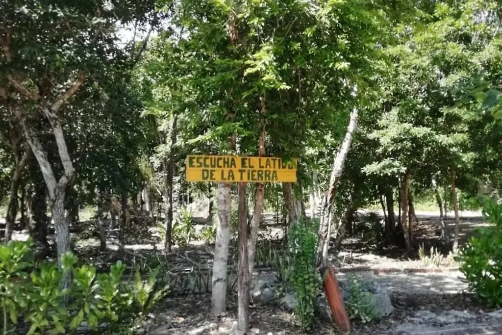 Agua & Selva Luxury Jungle Loft Apartment Tulum